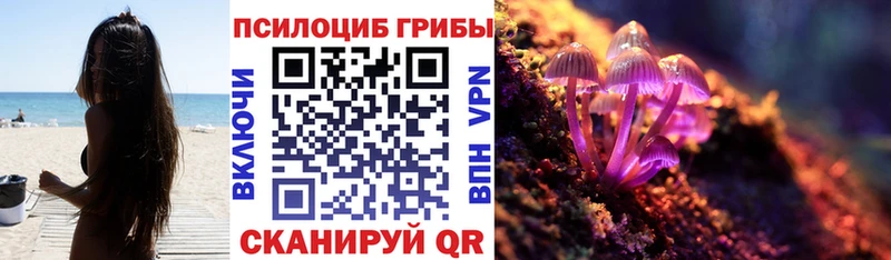 продажа наркотиков  Ардатов  Галлюциногенные грибы ЛСД 